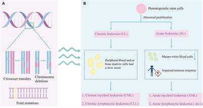 Advancements in the impact of human microbiota and probiotics on leukemia